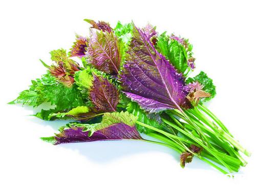 紫苏叶的功效与作用及食用方法_紫苏叶营养价值讲解-我爱下厨房