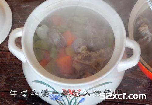 清炖牛尾汤砂锅版