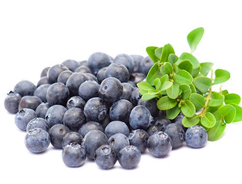 蓝莓的营养价值及功效