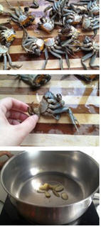 丝瓜毛豆河蟹汤的做法