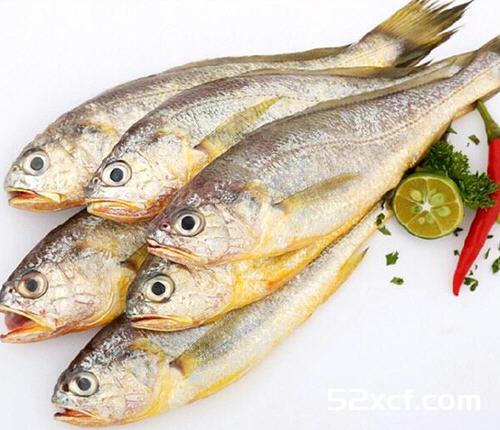 黄花鱼和黄鱼的区别及价格
