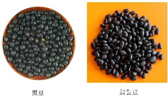 详解黑豆与黑芸豆的区别哪个营养价值更高