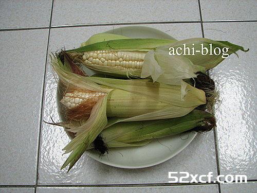 白玉米盆栽方法图解