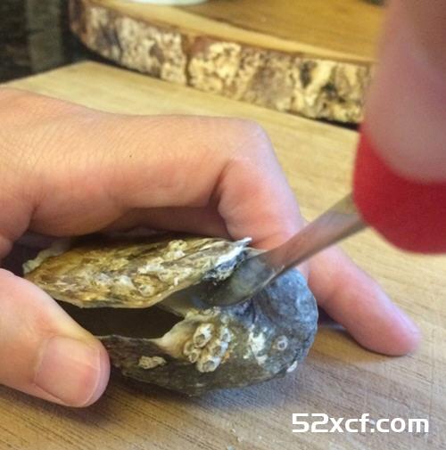 海蛎子怎么去壳的方法图解