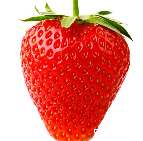 草莓有点烂还能吃吗