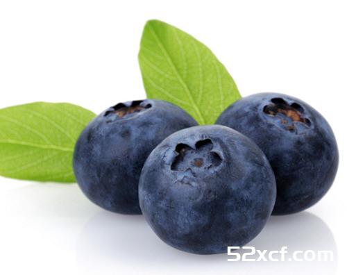 美国营养学家揭密蓝莓你不知道的健康益处