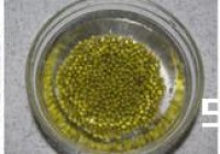 海带绿豆排骨汤的做法教
