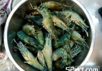 泰式胡椒虾的做法