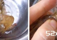 3秒去除虾子肠泥方法图解
