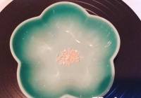 竹笋排骨汤电锅版的做法
