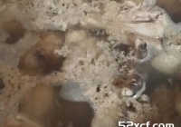 条瓜萝卜鸡汤的做法