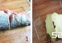 清水鲈鱼火锅的做法